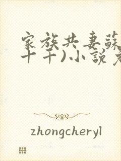 家族共妻苏苏(十千)小说免费