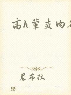 高h荤爽肉欲文