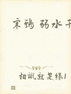 寒鸦 弱水千流封面