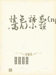 情色诱惑(np,高h)小说封面