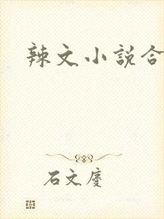 辣文小说合集封面