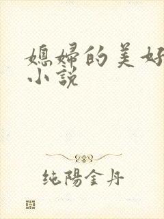 媳妇的美好时代小说