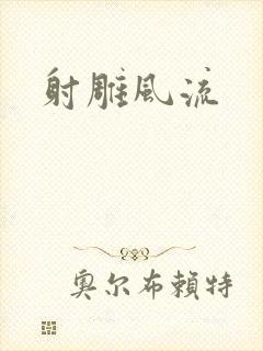 射雕风流