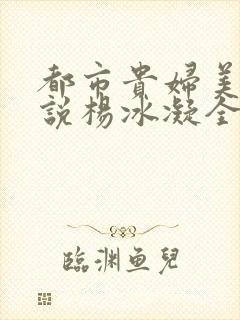 都市贵妇美腿小说杨冰凝全文阅读封面