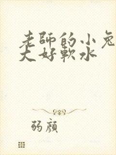 老师的小兔子好大好软水