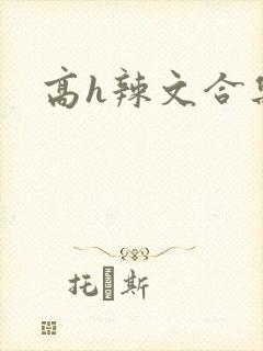 高h辣文合集封面