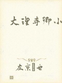 大理寺卿小说封面