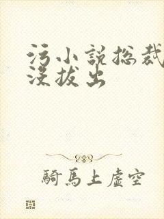 污小说总裁整夜没拔出