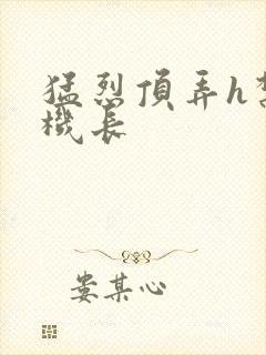 猛烈顶弄h禁欲机长