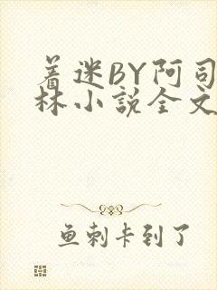 着迷BY阿司匹林小说全文免费阅读封面