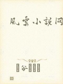 风云小说网封面