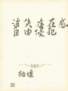 消失存在感消失自由侵犯