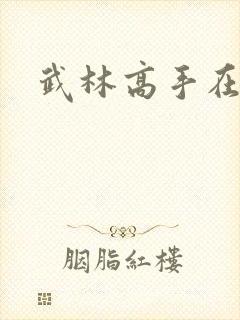 武林高手在异界