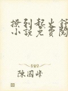 撩到起火舒漾的小说免费阅读全文