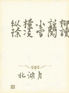 纵横小说柳无邪徐凌雪阅读