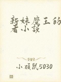 新妹魔王的契约者小说封面