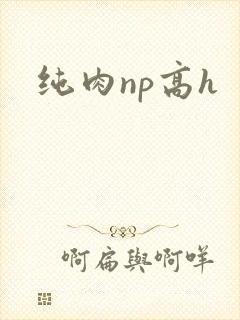 纯肉np高h