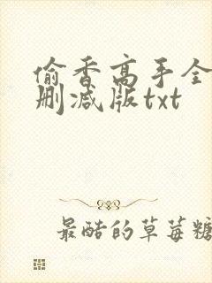 偷香高手全文无删减版txt