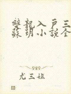 双龙入户三人行苏玥小说全文阅读