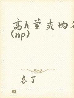 高h荤爽肉欲文(np)封面