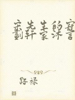 宋先生的宠妻计划轩家沐言