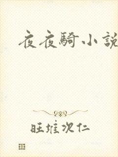 夜夜骑小说