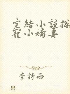 完结小说总裁私宠小娇妻封面