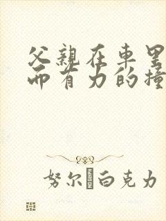 父亲在车里缓慢而有力的撞着封面