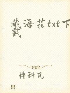 藏海花txt下载