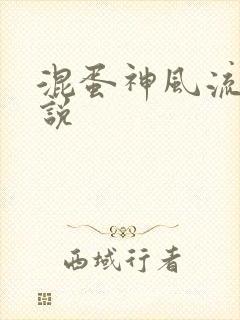 混蛋神风流史小说