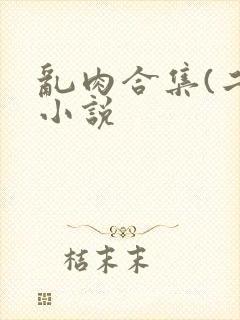 乱肉合集(二)小说封面