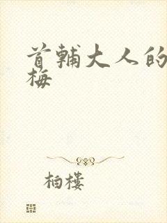 首辅大人的小青梅