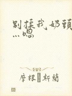 别揉我奶头…啊…嗯