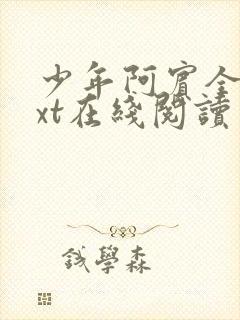 少年阿宾全文txt在线阅读