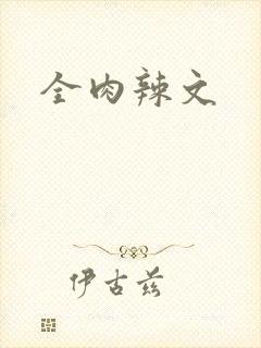 全肉辣文封面