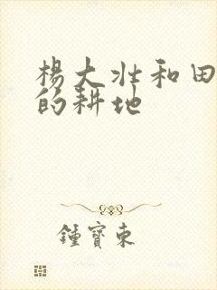 杨大壮和田桂花的耕地