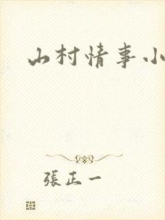 山村情事小说封面