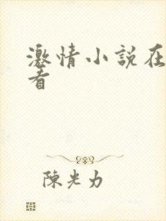 激情小说在线观看