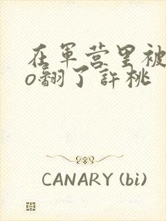 在军营里被cao翻了许桃