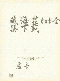 藏海花txt全集下载