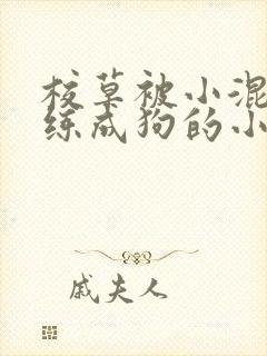 校草被小混混训练成狗的小说