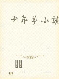 少年梦小说