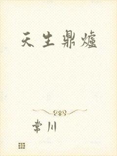 天生鼎炉封面