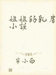 姐姐的乳房都市小说