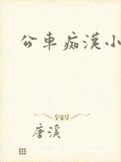 公车痴汉小说封面