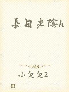长日光阴h