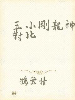 玉小刚龙神斗罗对比