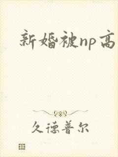 新婚被np高h