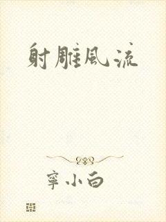 射雕风流封面