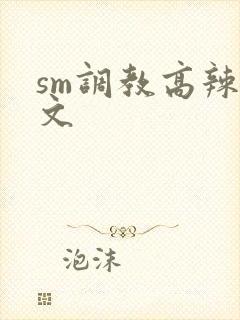 sm调教高辣h文